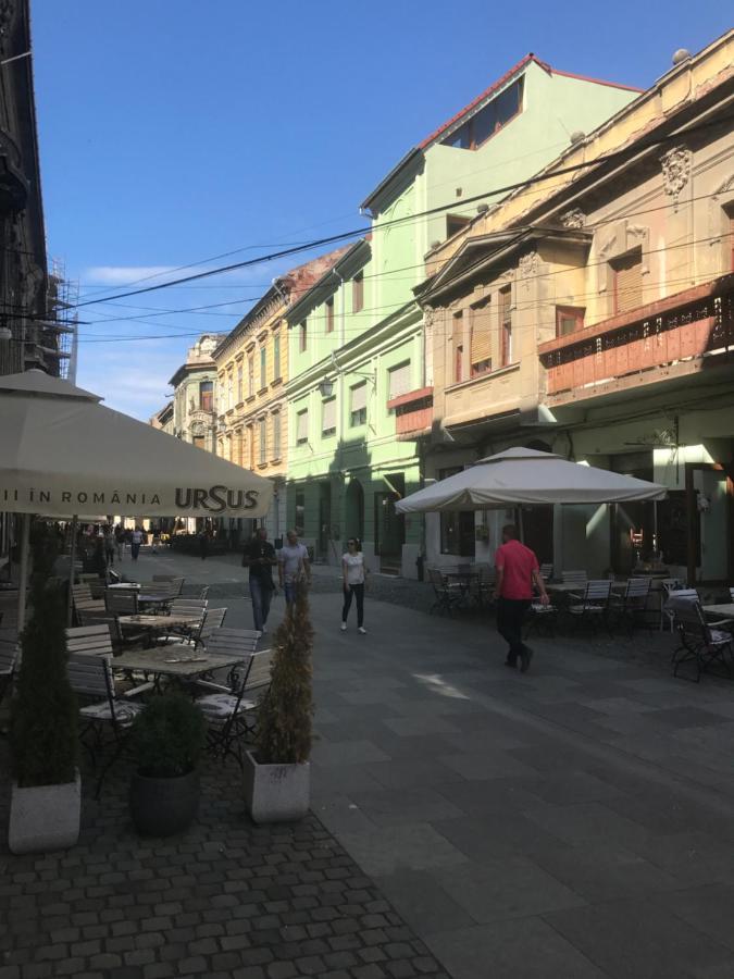 Savoya Nr3 Studio Old City Center Self Check-In 蒂米什瓦拉 外观 照片