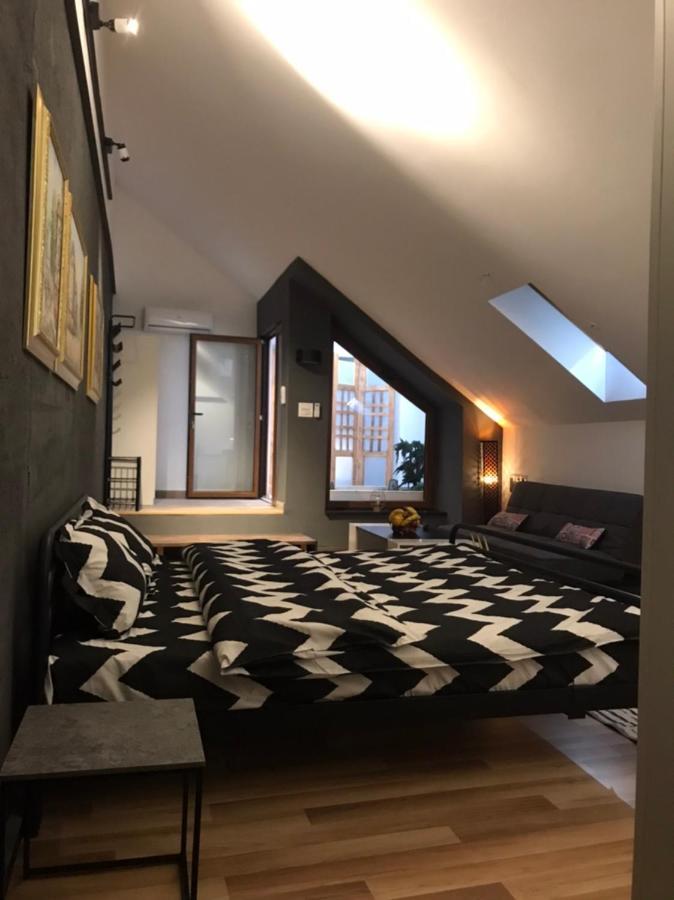 Savoya Nr3 Studio Old City Center Self Check-In 蒂米什瓦拉 外观 照片