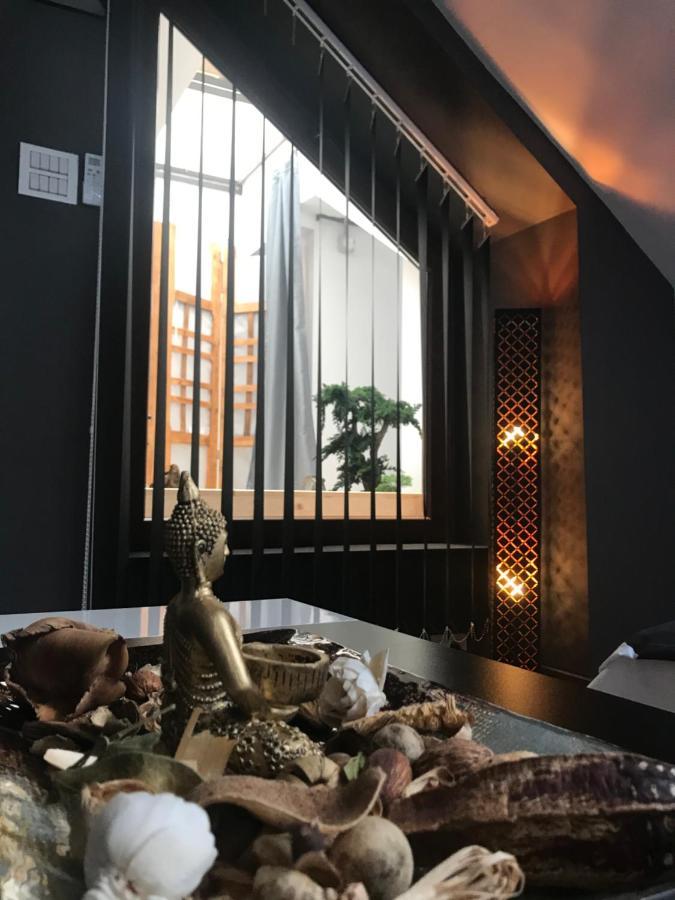 Savoya Nr3 Studio Old City Center Self Check-In 蒂米什瓦拉 外观 照片