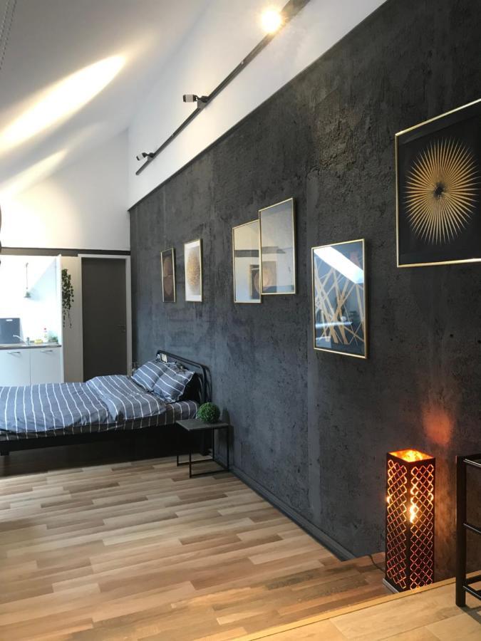 Savoya Nr3 Studio Old City Center Self Check-In 蒂米什瓦拉 外观 照片