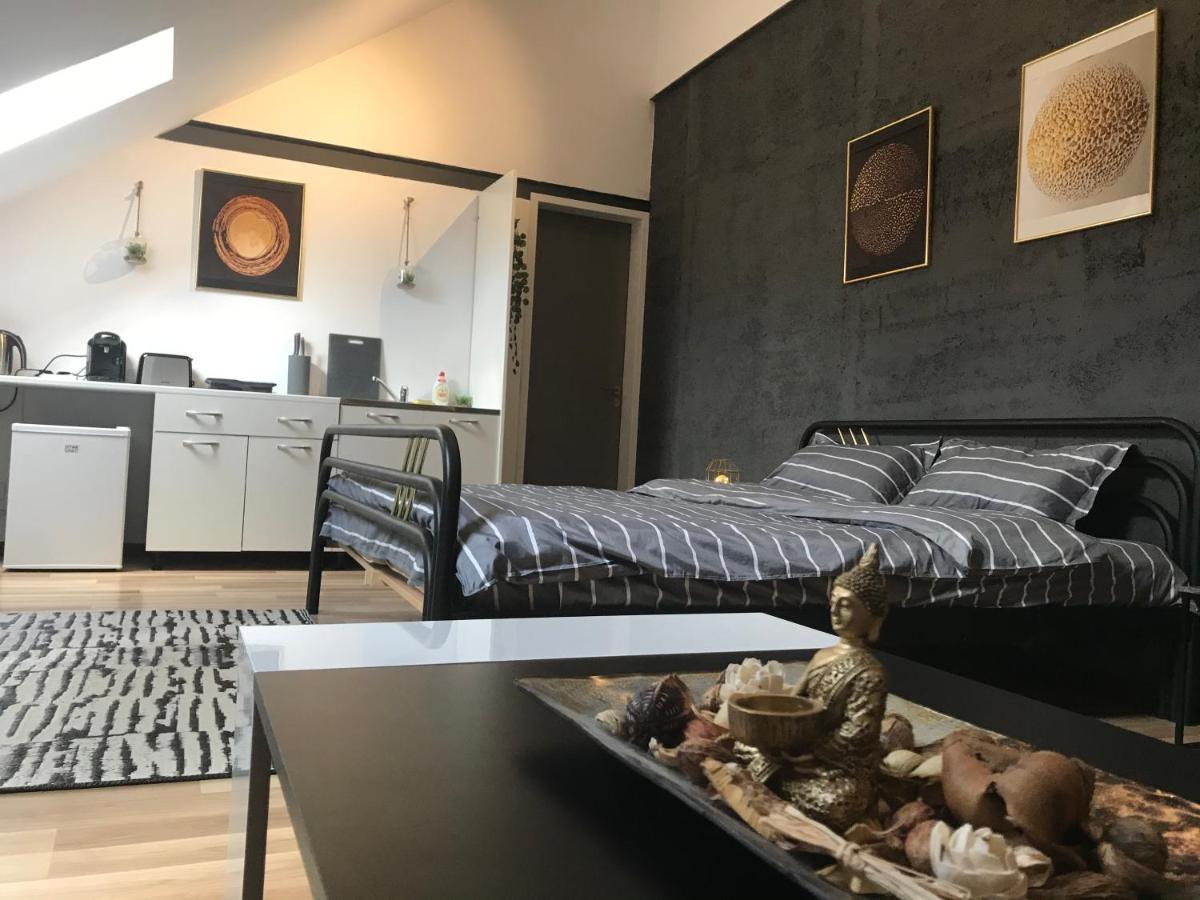 Savoya Nr3 Studio Old City Center Self Check-In 蒂米什瓦拉 外观 照片