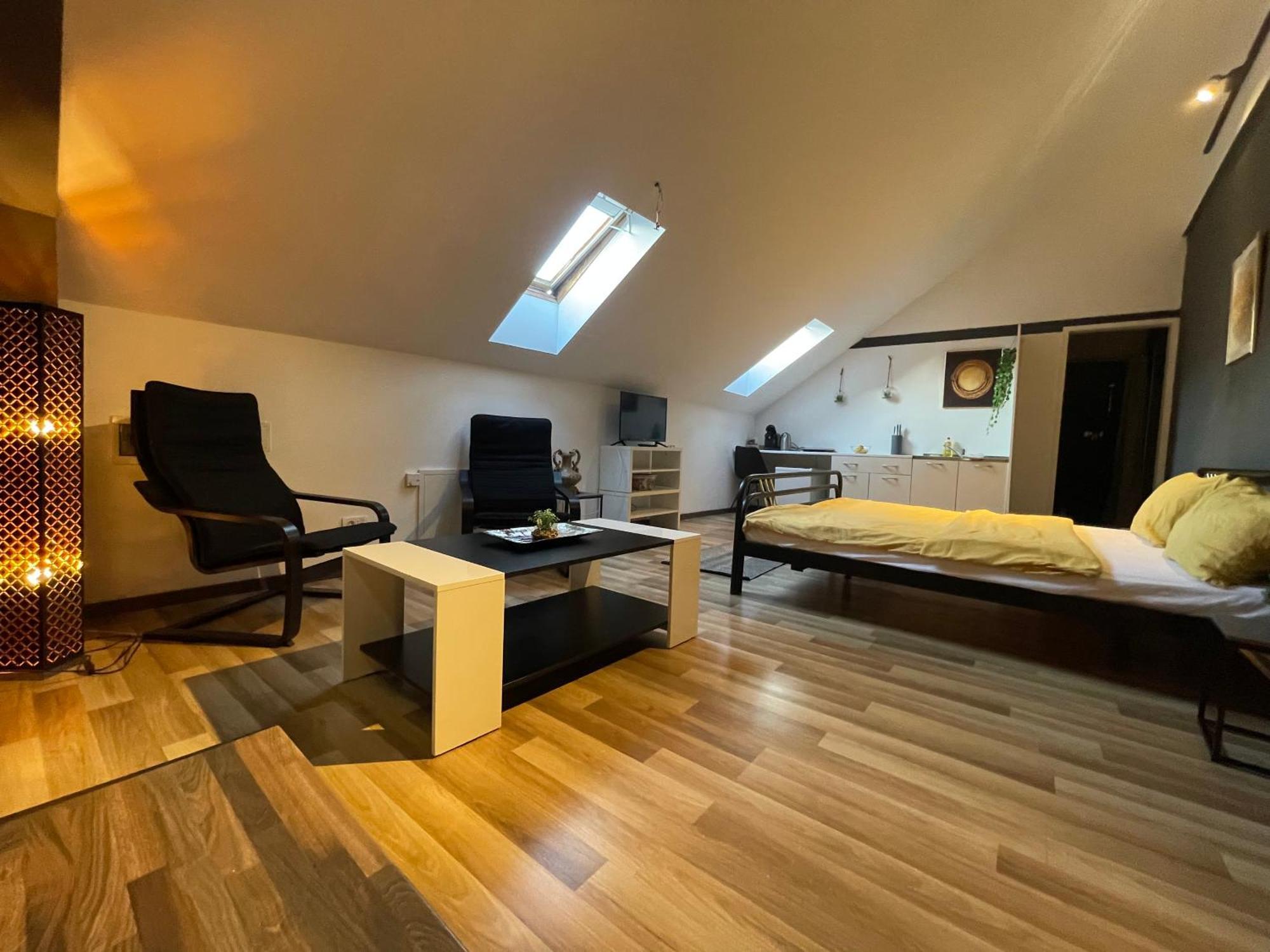 Savoya Nr3 Studio Old City Center Self Check-In 蒂米什瓦拉 外观 照片