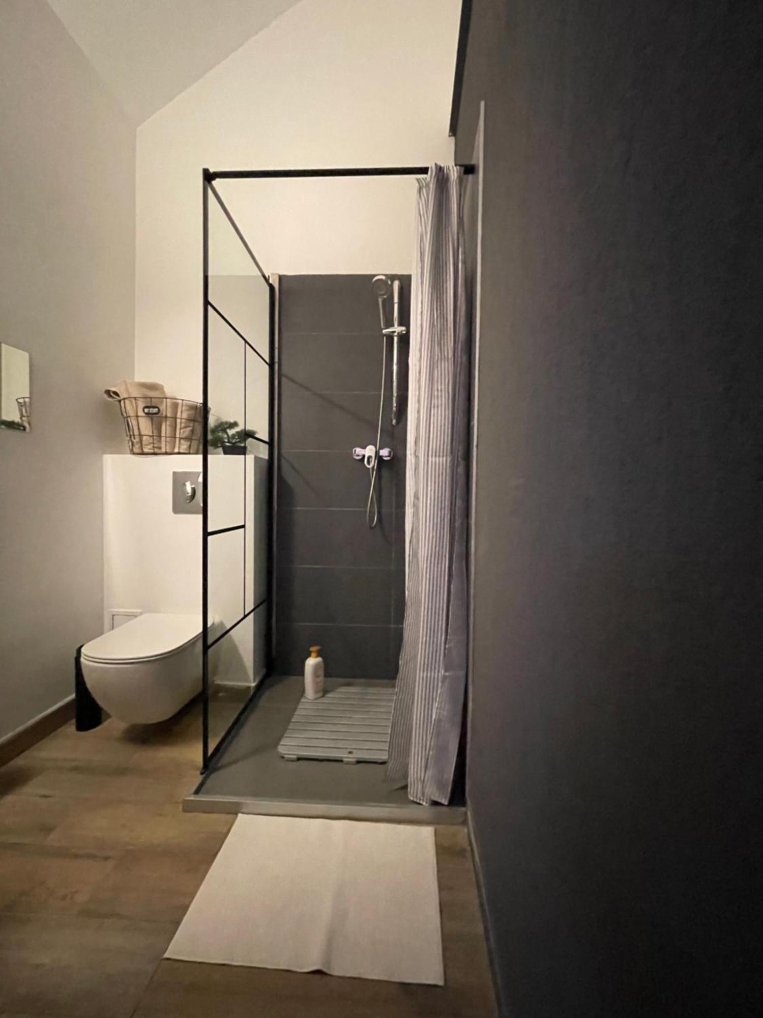 Savoya Nr3 Studio Old City Center Self Check-In 蒂米什瓦拉 外观 照片