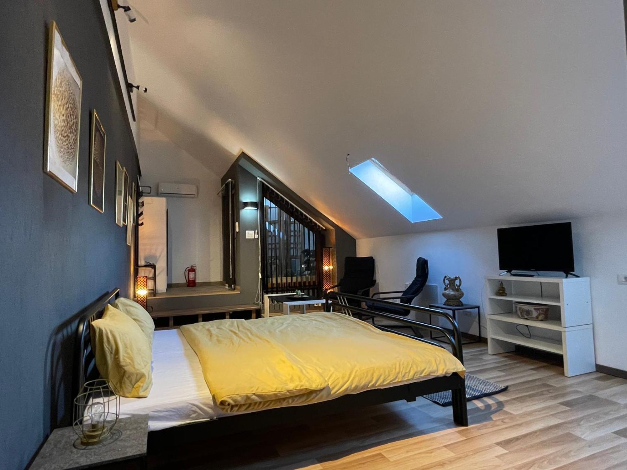 Savoya Nr3 Studio Old City Center Self Check-In 蒂米什瓦拉 外观 照片